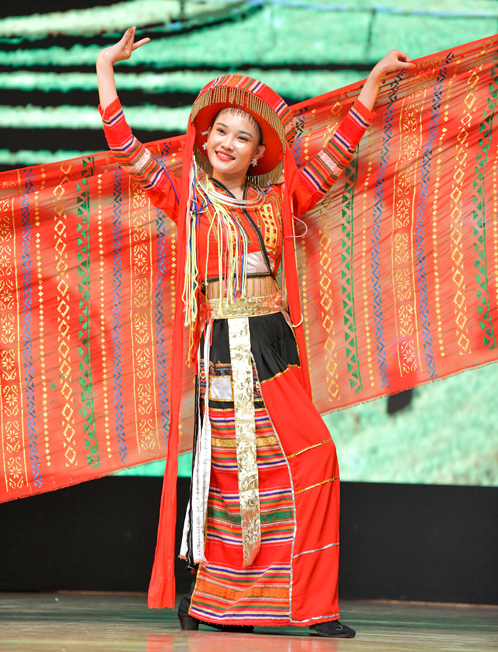 Khai Mac Ngay Van Hoa Viet Nam Tai An Do That Chat Quan He Huu Nghi Truyen Thong Tang Cuong Giao Luu Va Ket Noi Van Hoa Viet Nam An Do 10