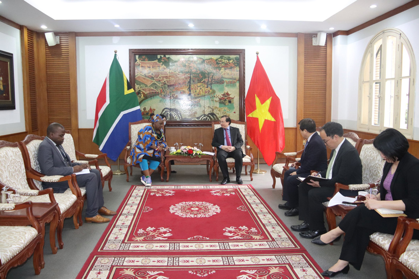 Viet Nam Nam Phi Nhieu Hoat Dong Van Hoa Ky Niem 30 Nam Thiet Lap Quan He Ngoai Giao 03