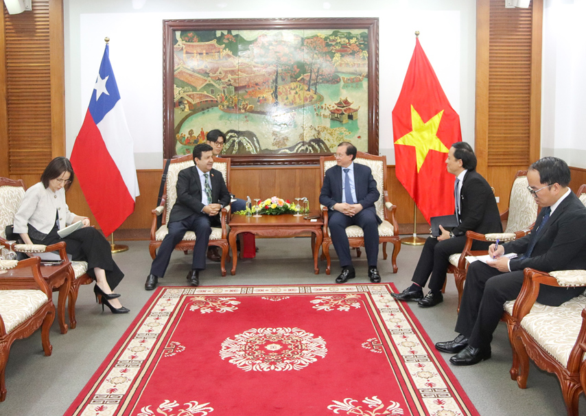 Vn Chile Day Manh Hop Tac Van Hoa 02