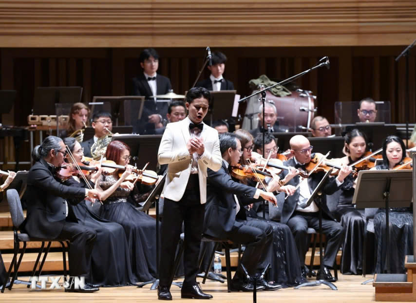 Tbt Nghe Thuat Singapore Vietnam 3